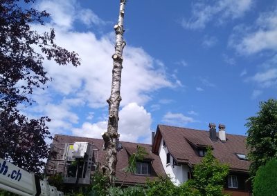 IMG 20200525 WA0012